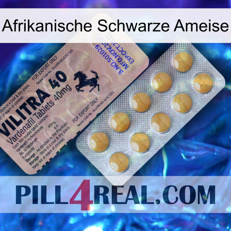 African Black Ant 41